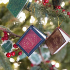 Book Lover’s Advent Calendar 2026 – Limited Edition